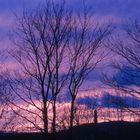 Abends aus meinem Fenster