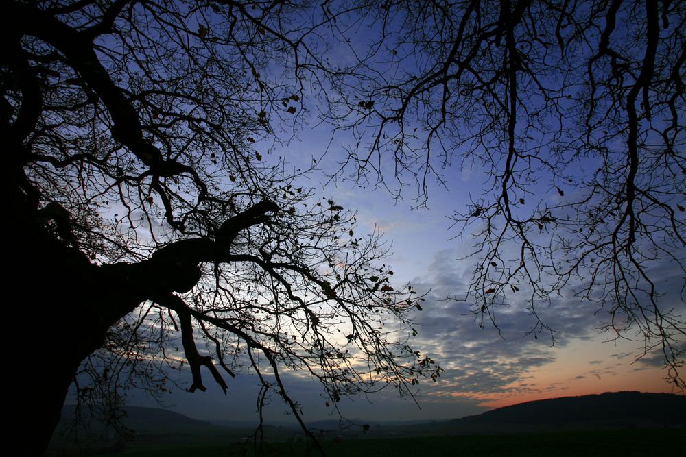 Abends bei Groß Berkel