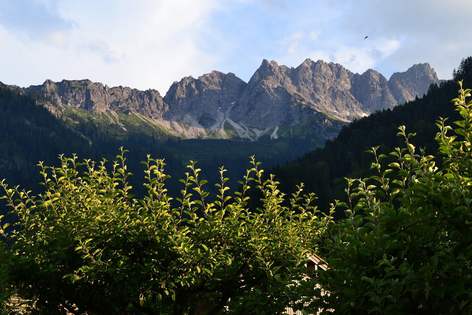 Abends bei Hinterstein im Allgäu