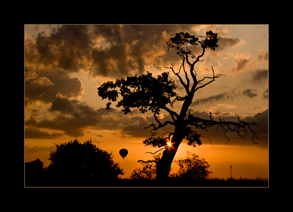 Abends bei meinem Baum... mit Ballon