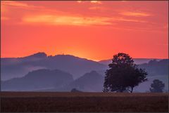 ... abends bei Netra