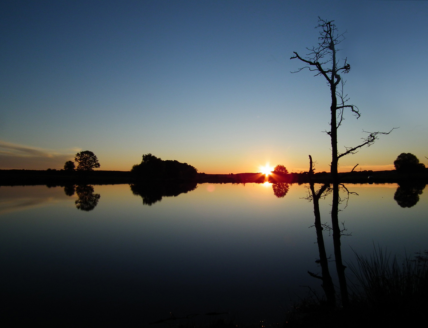 Abends drüben am Weiher