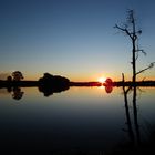 Abends drüben am Weiher