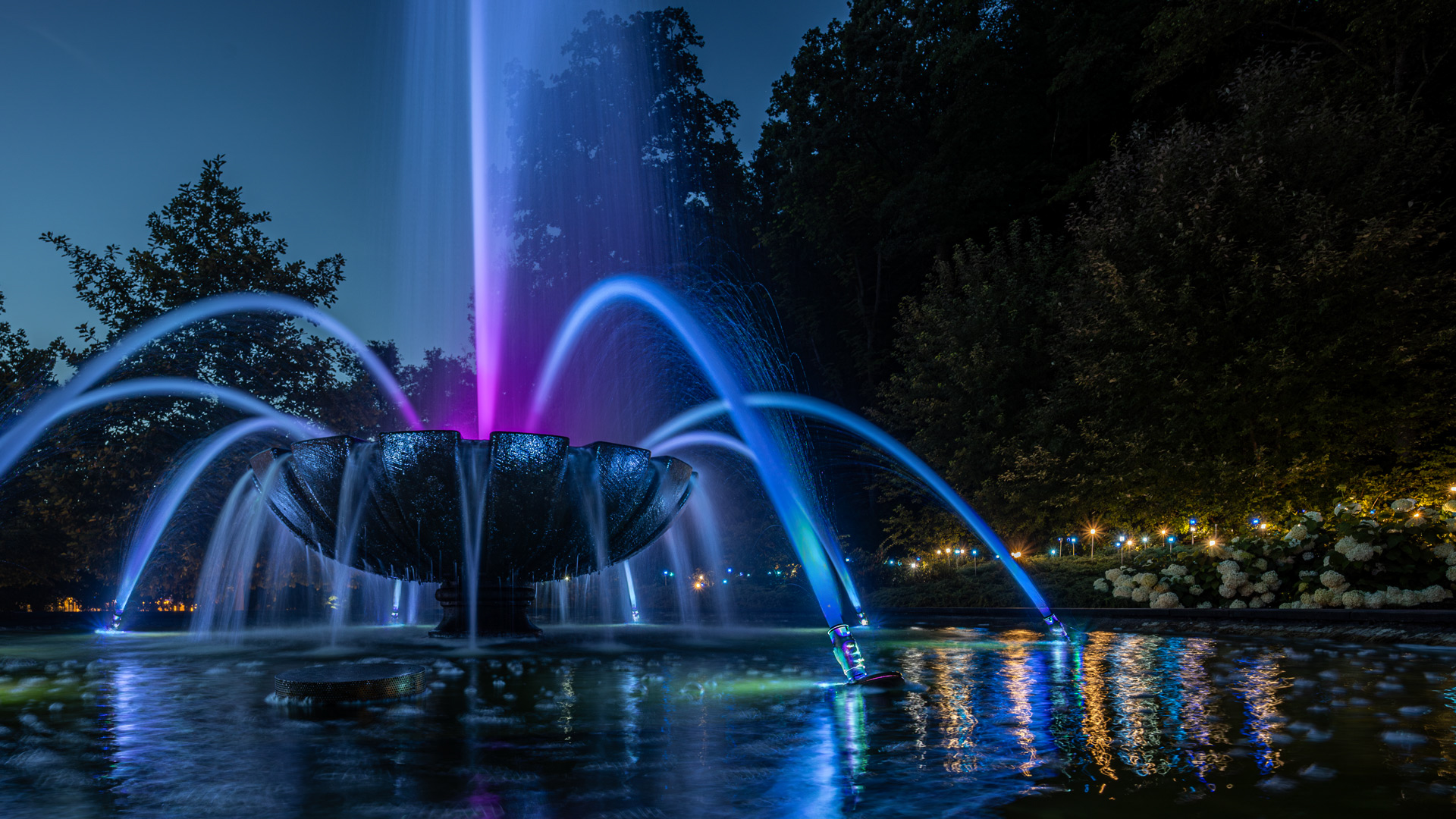 Abends durch den Kurpark 4