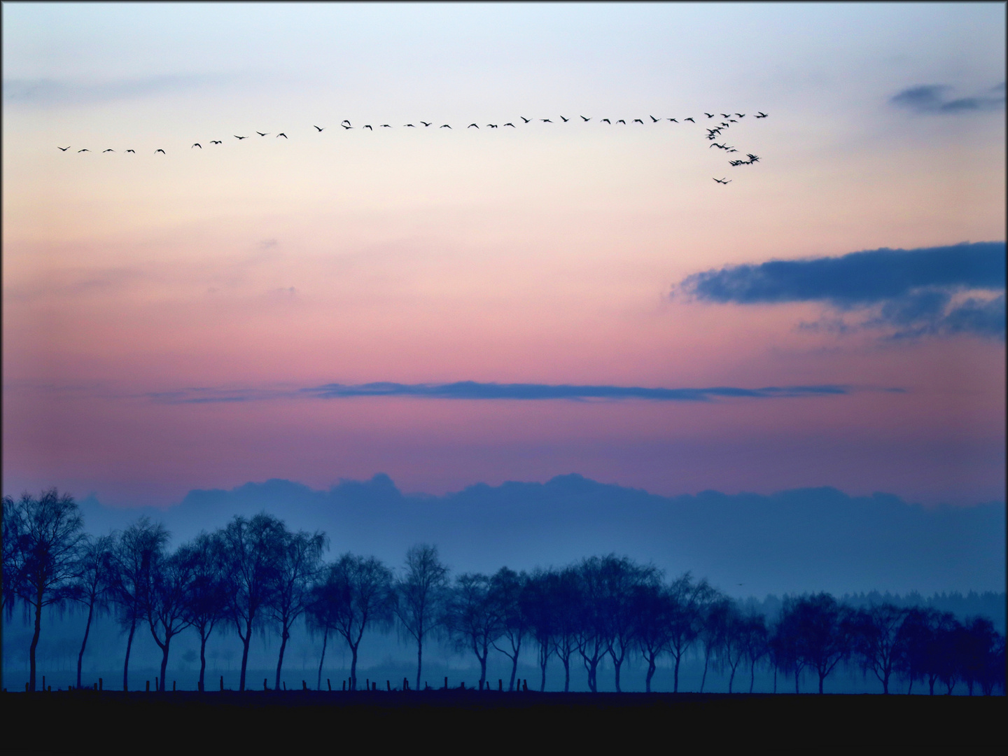 abends fliegen