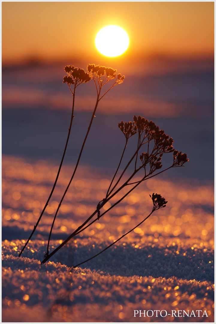 Abends Gesprach