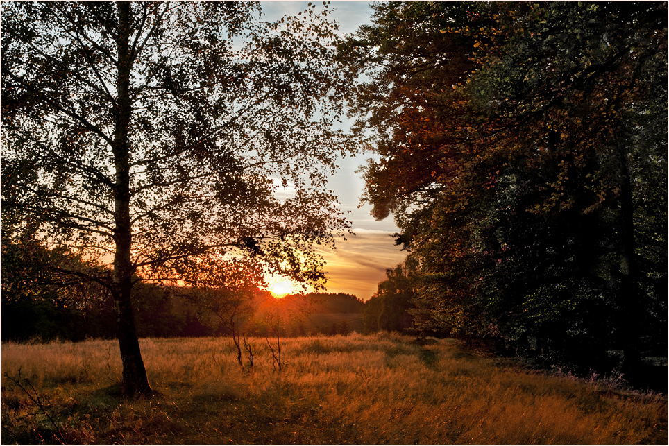 Abends glüht die Wiese...