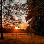 Abends glüht die Wiese...