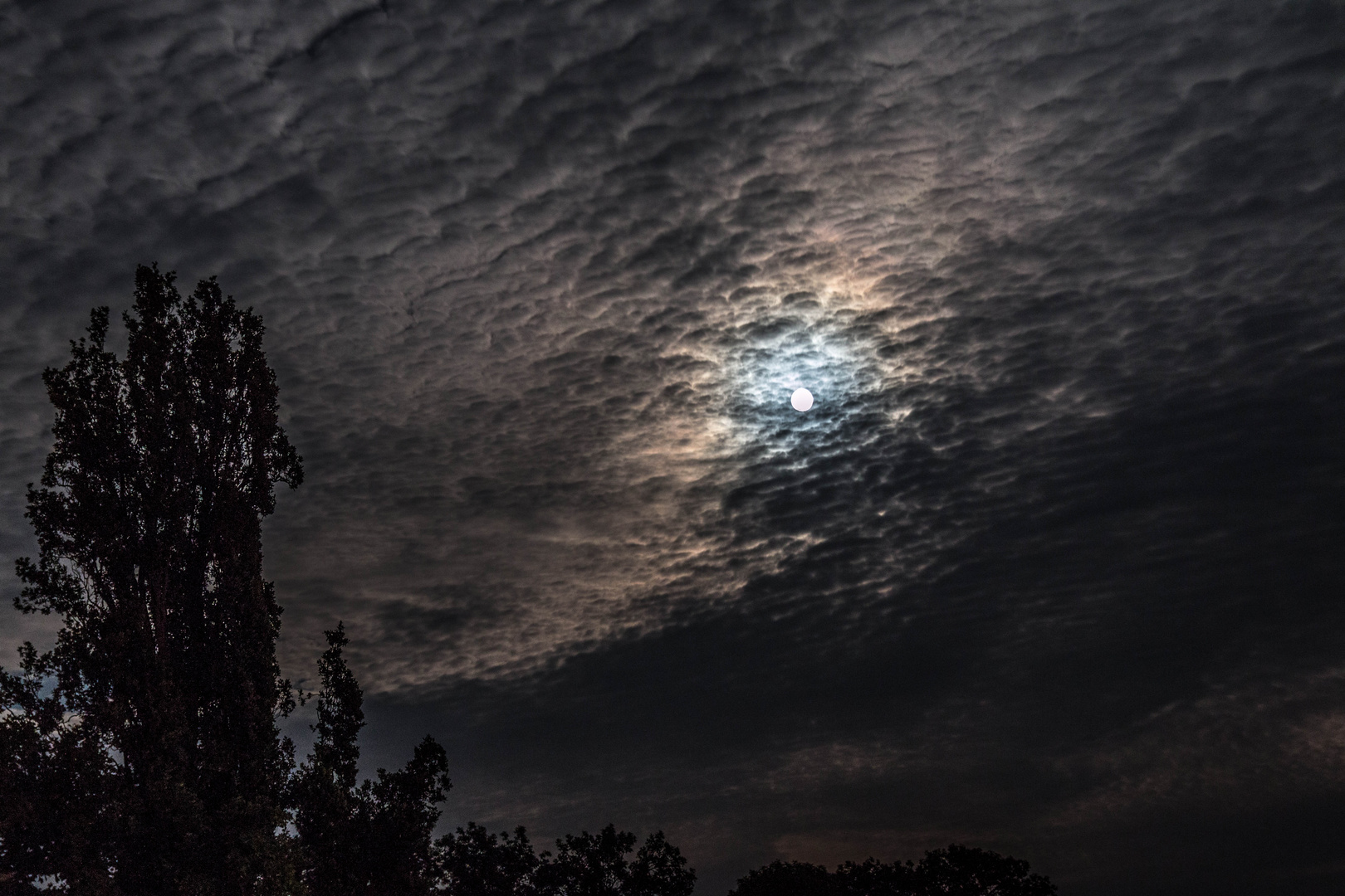 Abends, halb 10 in Deutschland