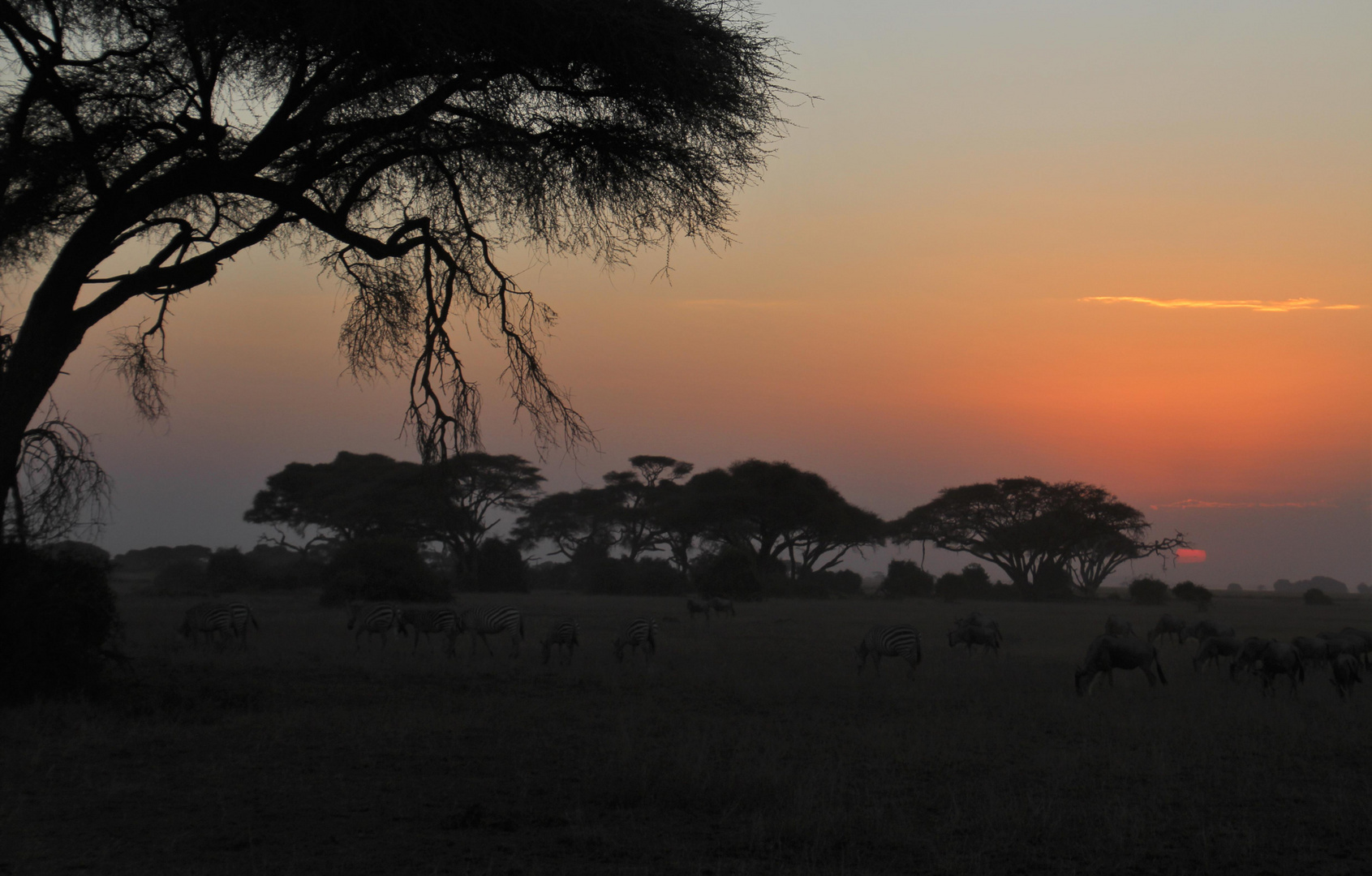  Abends im Amboseli Nationalpark