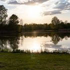 Abends im Britzer Garten 