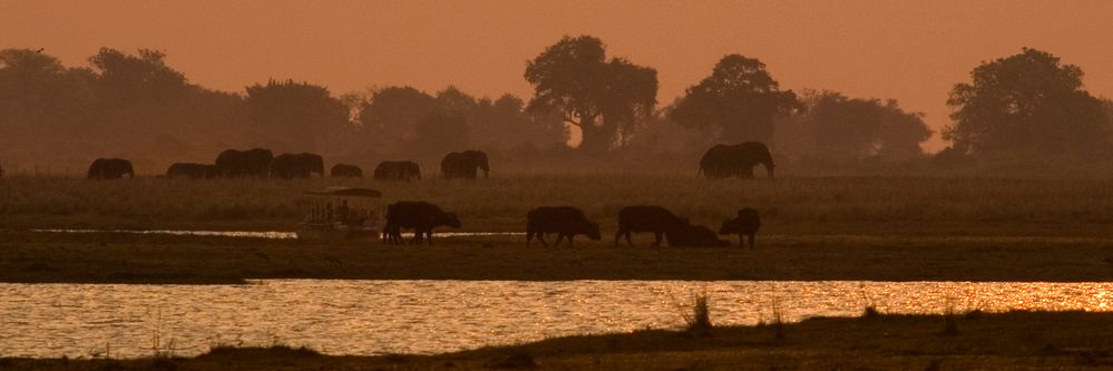 Abends im Chobe Nationalpark