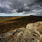 Abends im Dartmoor #1