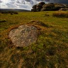 Abends im Dartmoor #2