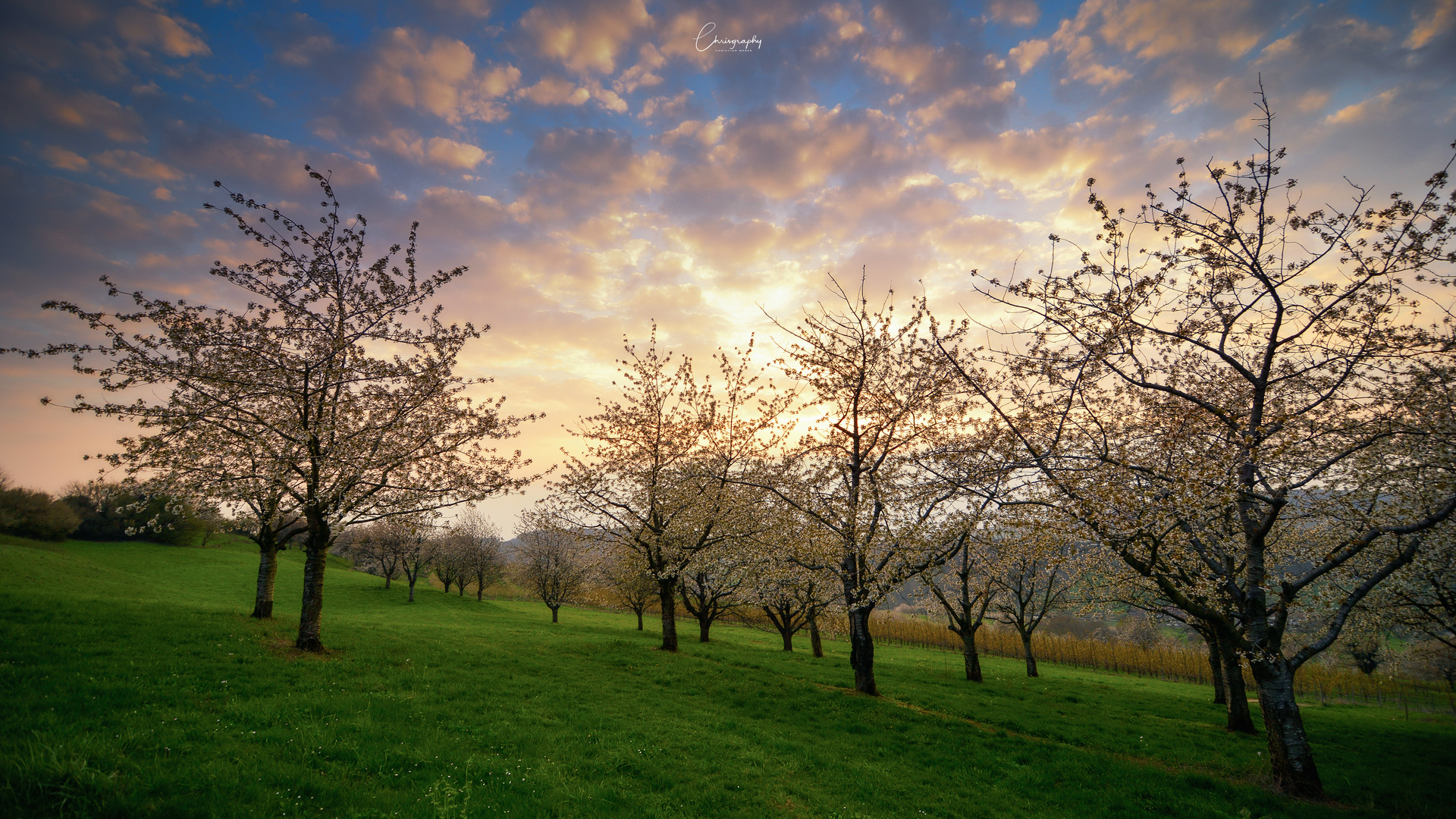 Abends im Eggenertal