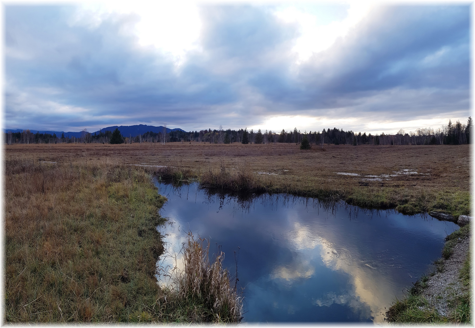 Abends im Ellbacher Moor