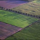 abends im Feld