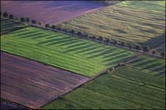 abends im Feld