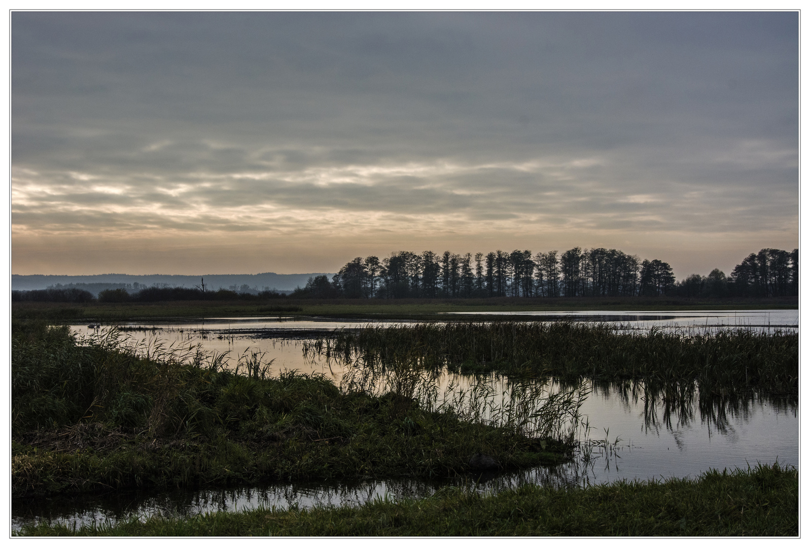 Abends im Flutgebiet des Galenbecker Sees