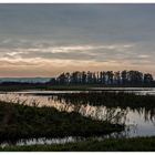 Abends im Flutgebiet des Galenbecker Sees