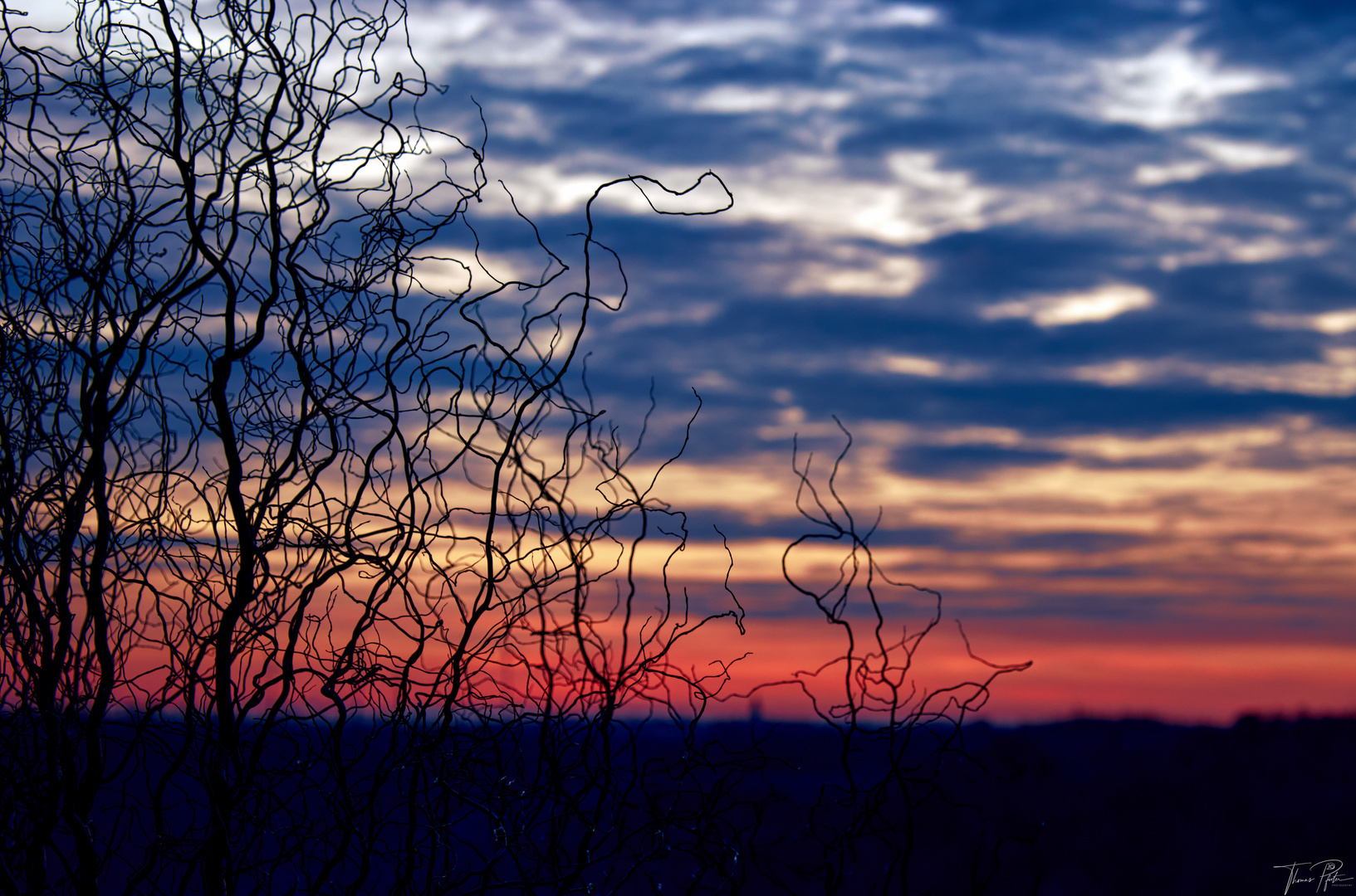 Abends im Garten…