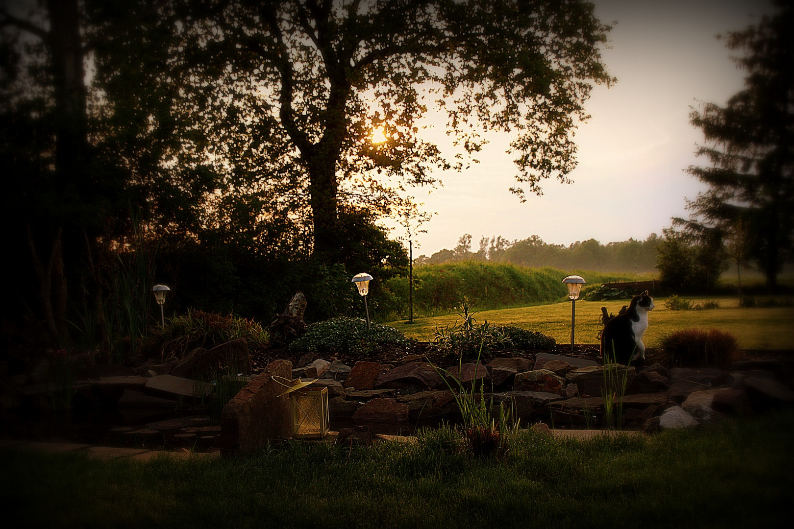 Abends im Garten