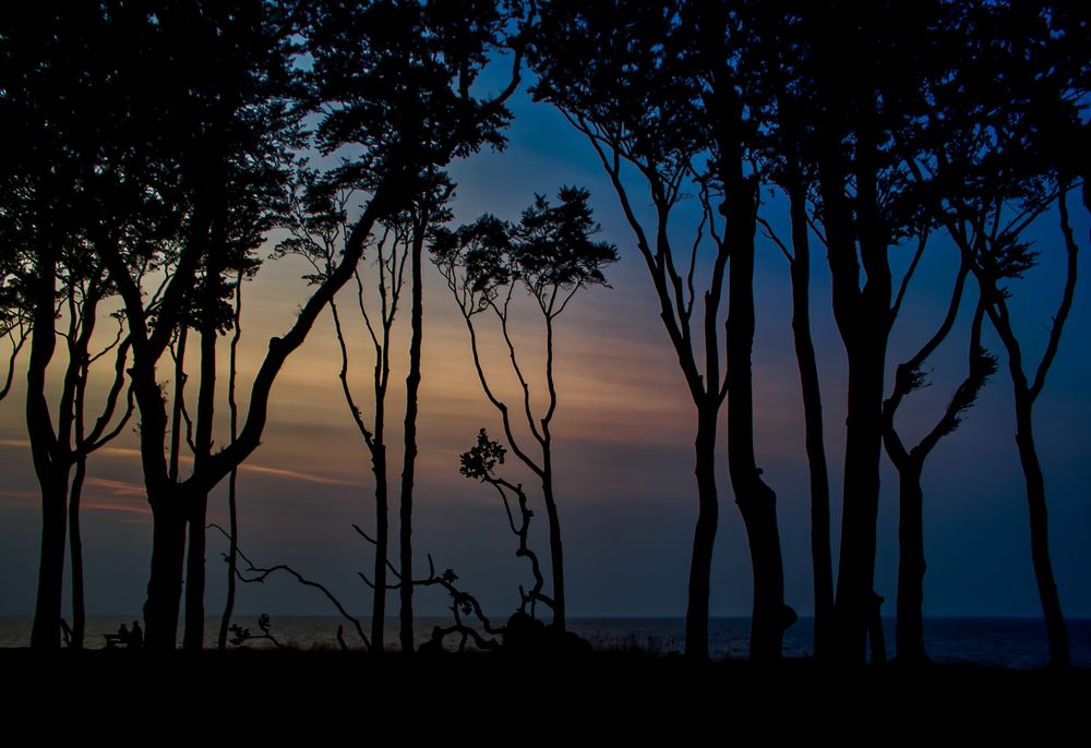 abends im Gespensterwald