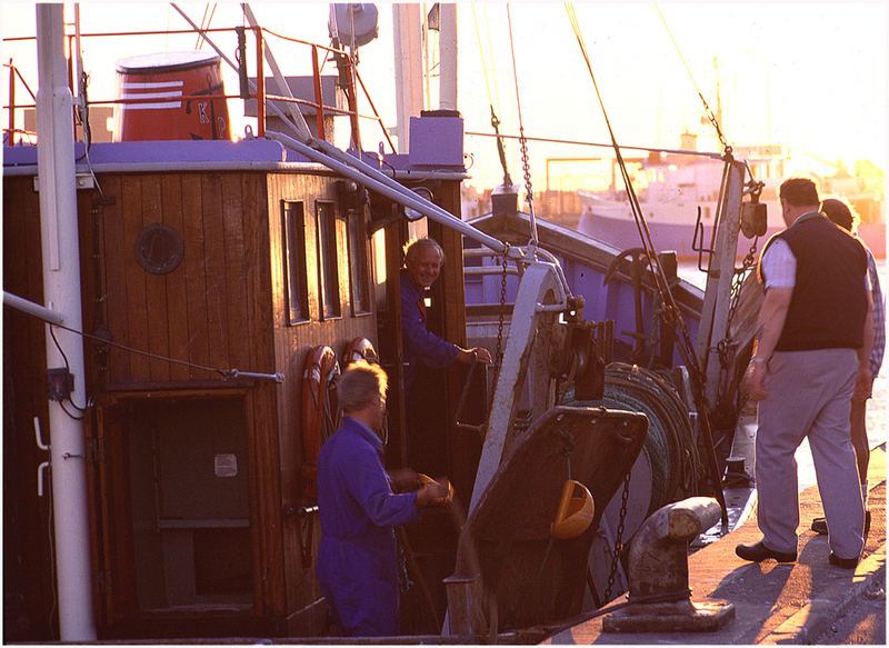 Abends im Hafen