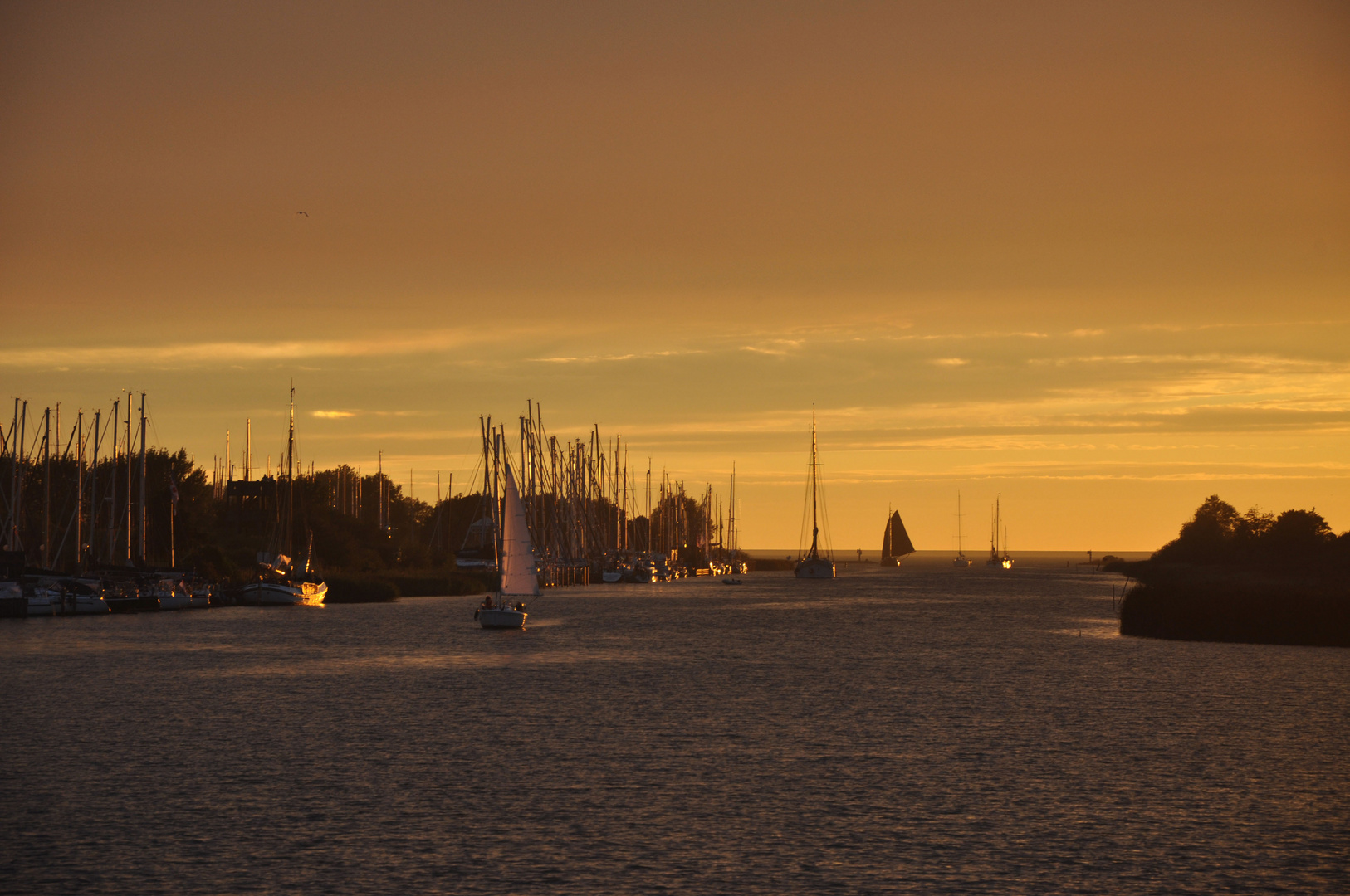 Abends im Hafen...