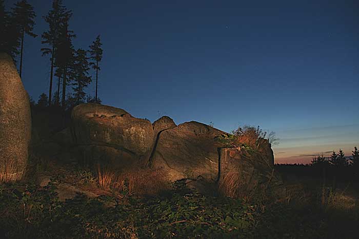 Abends im Harz