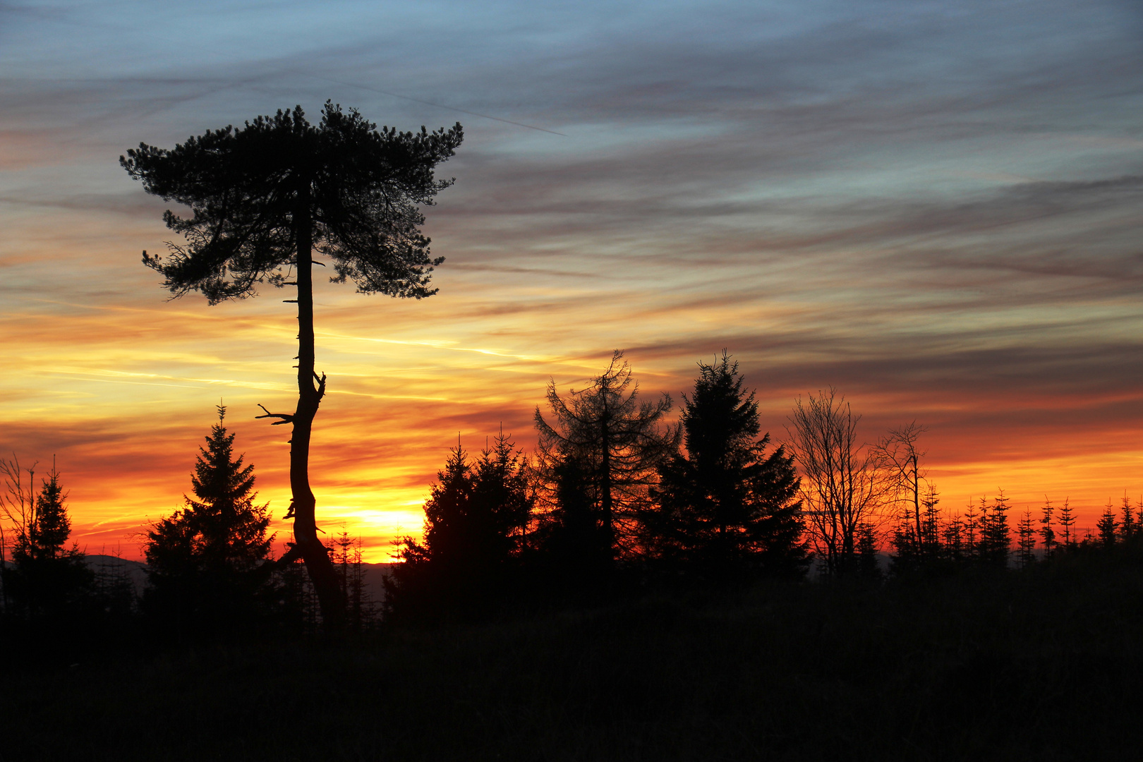 Abends im Herbst 