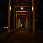 Abends im Hofgarten München und vor der Staatskanzlei 