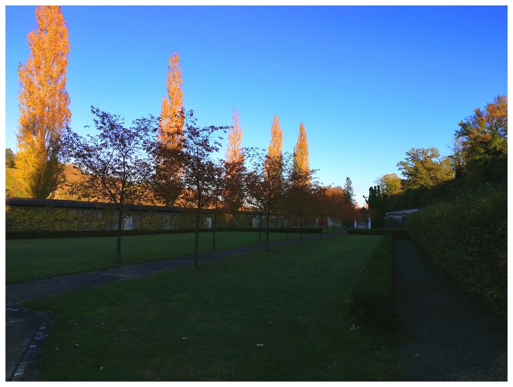 Abends im Klosterpark