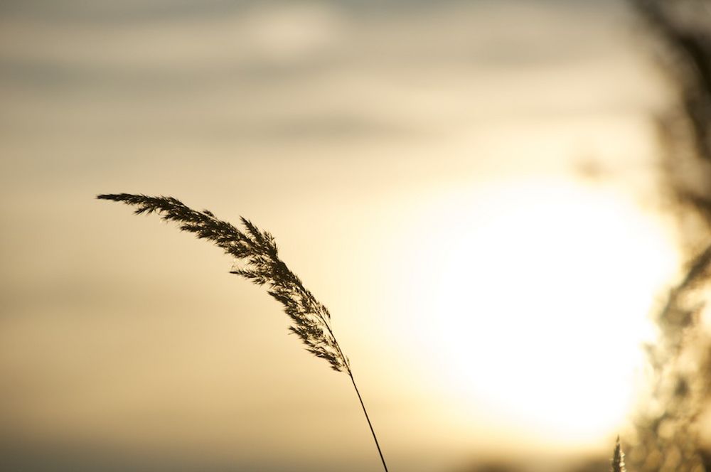 Abends im Licht von Paul09131 