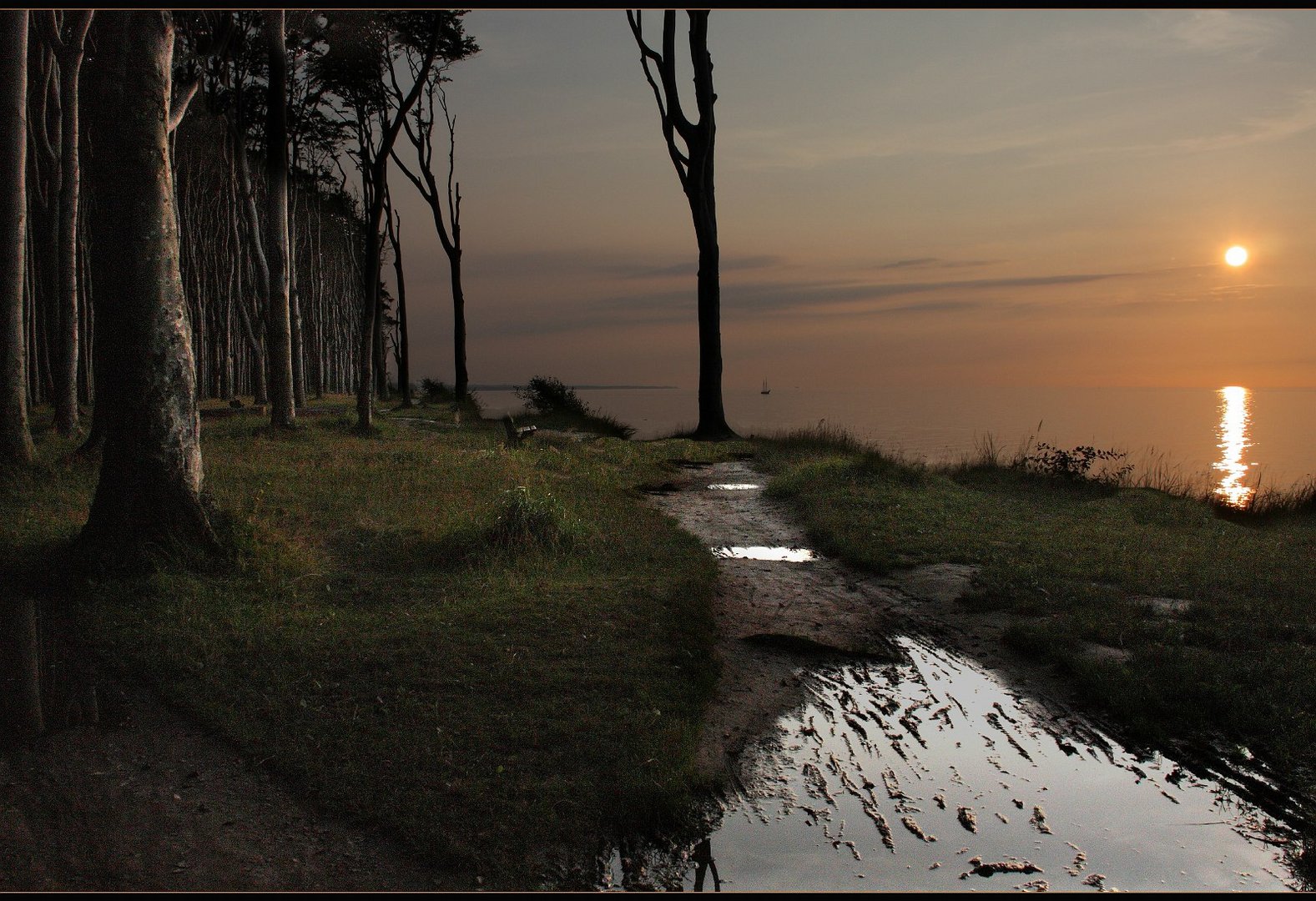 abends im Märchenwald ..