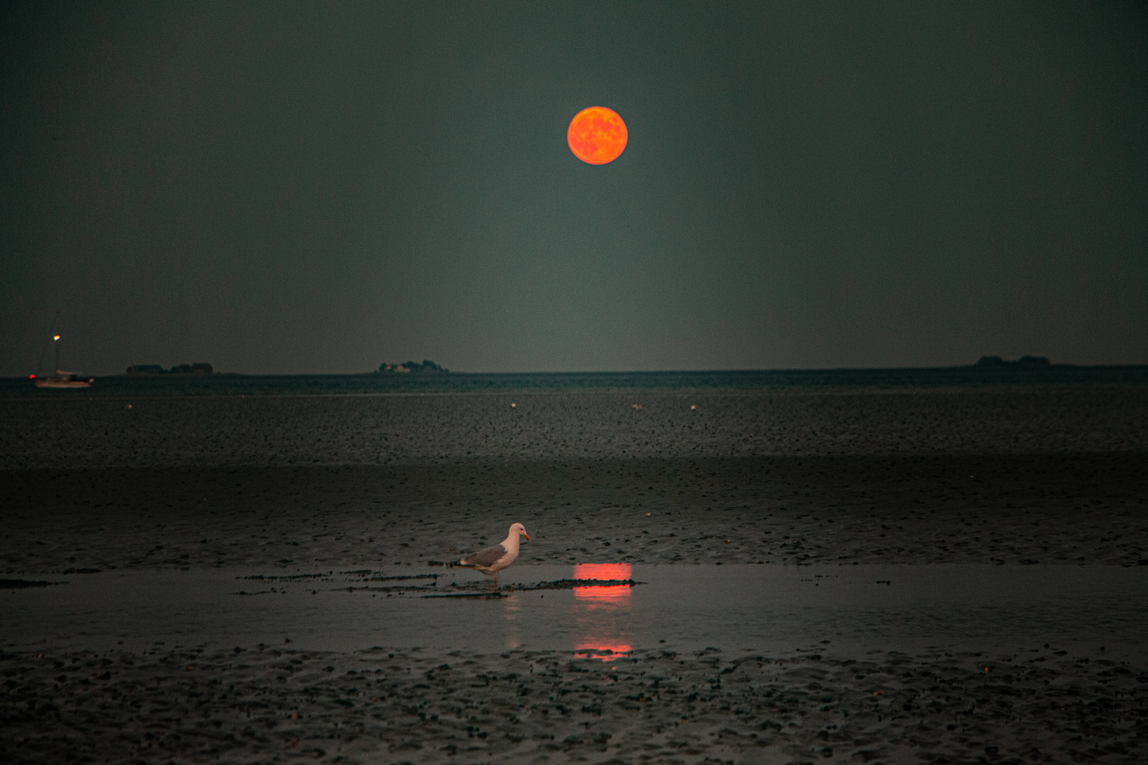 Abends im Meer 