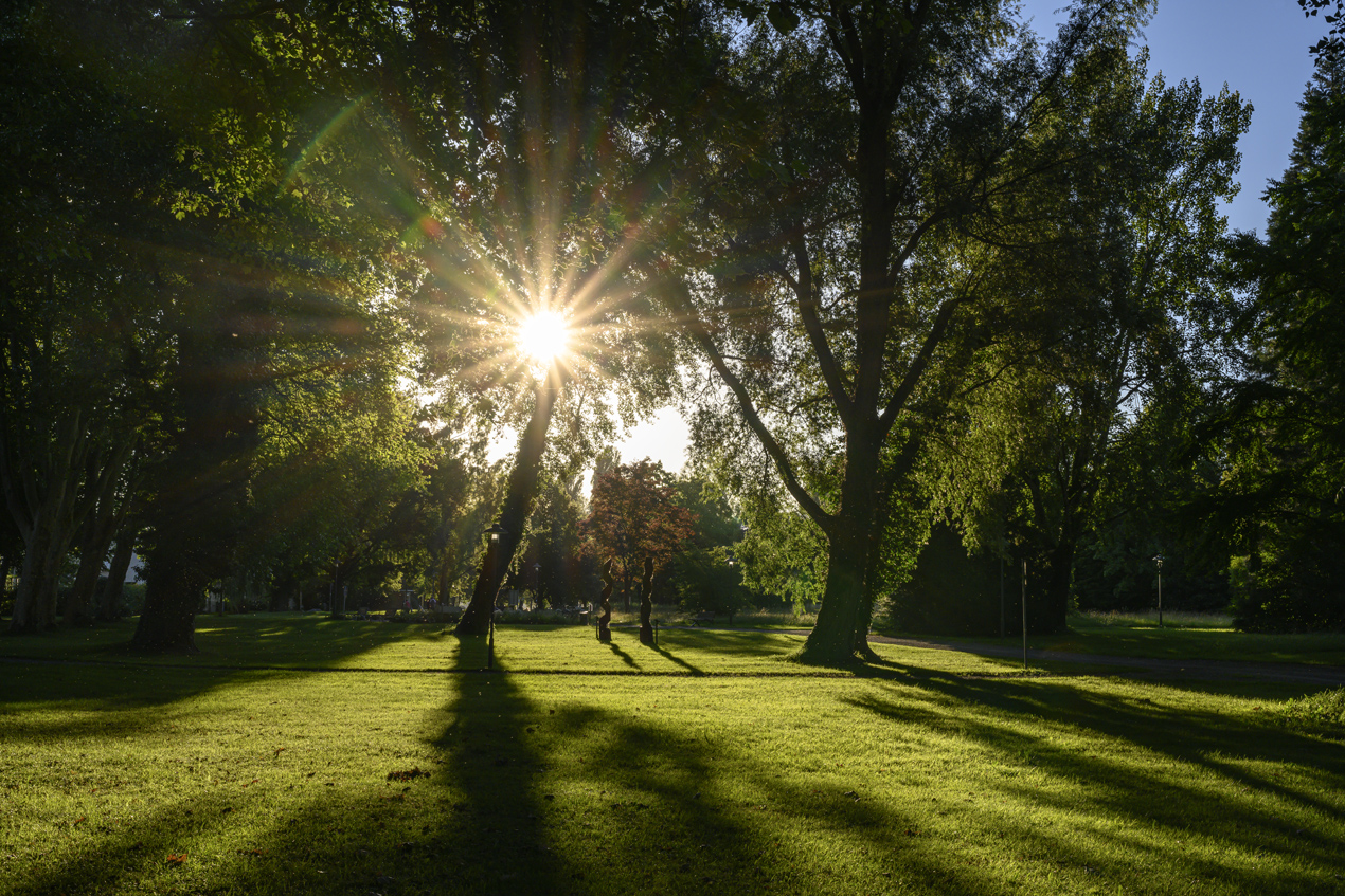 Abends im Mettnaupark