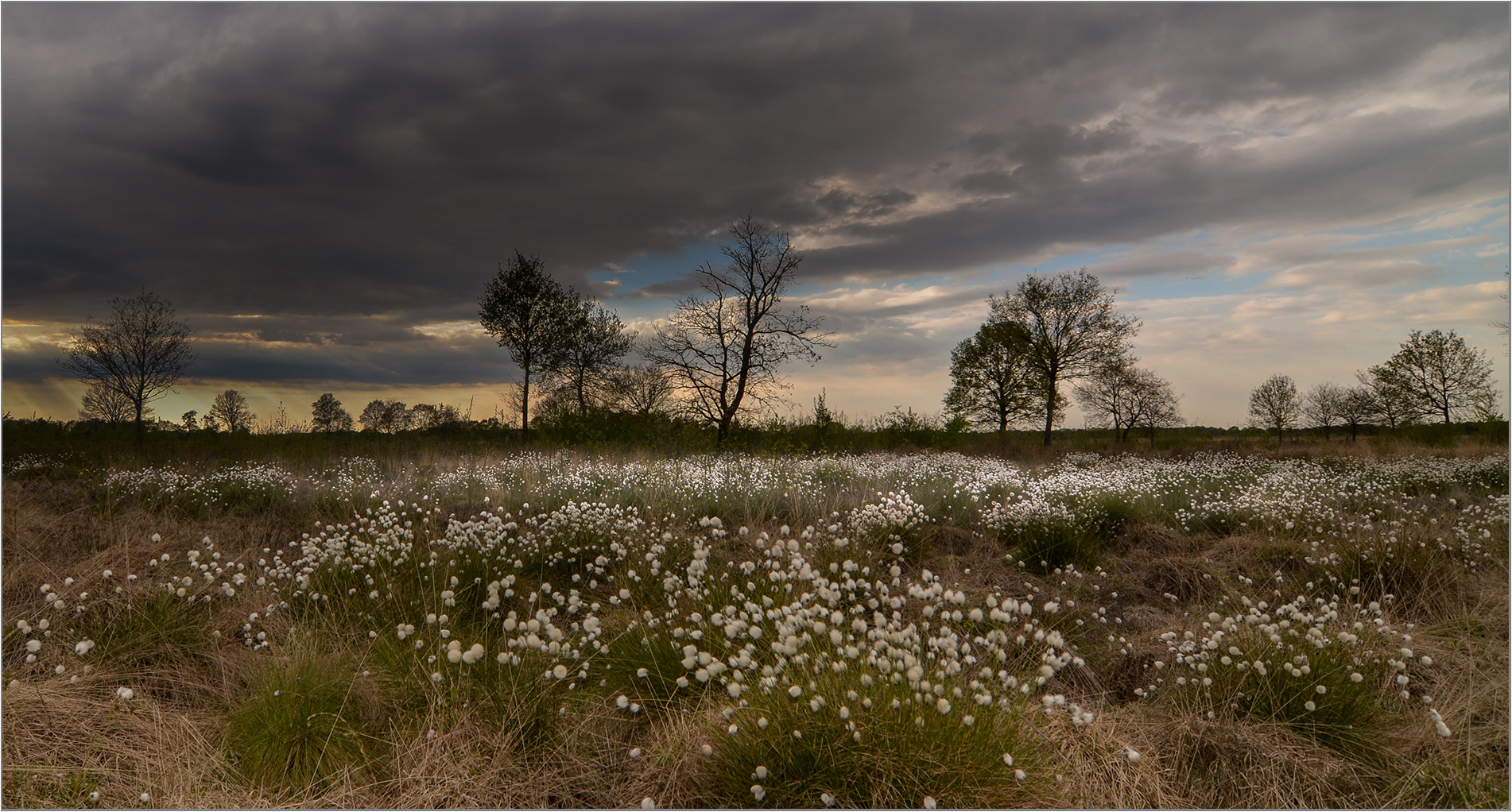 Abends im Moor   . . .