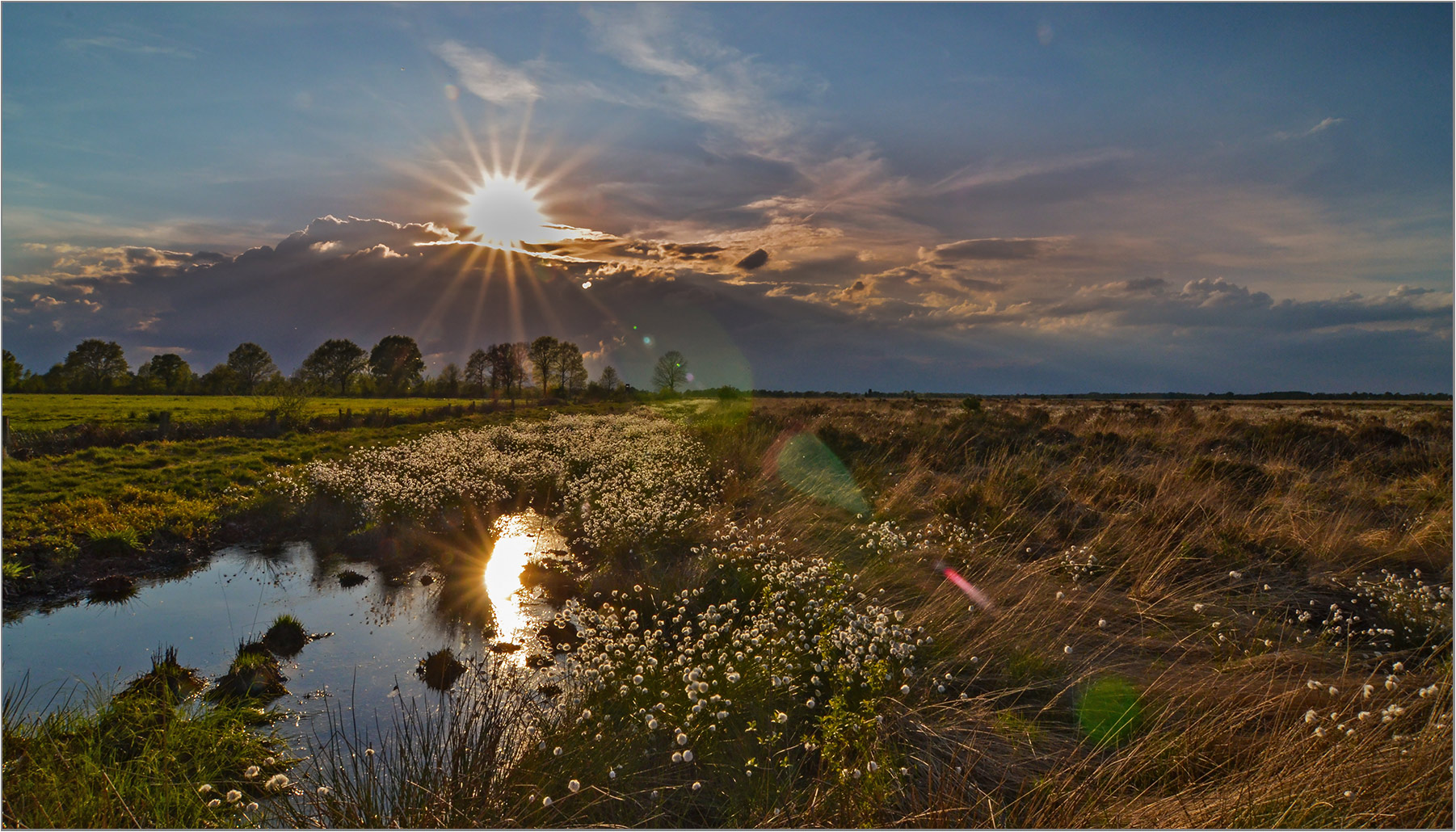 Abends im Moor   . . .