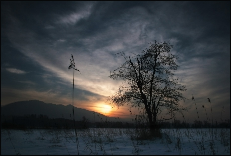 Abends im Moor