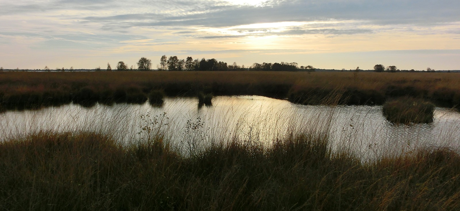 Abends im Moor