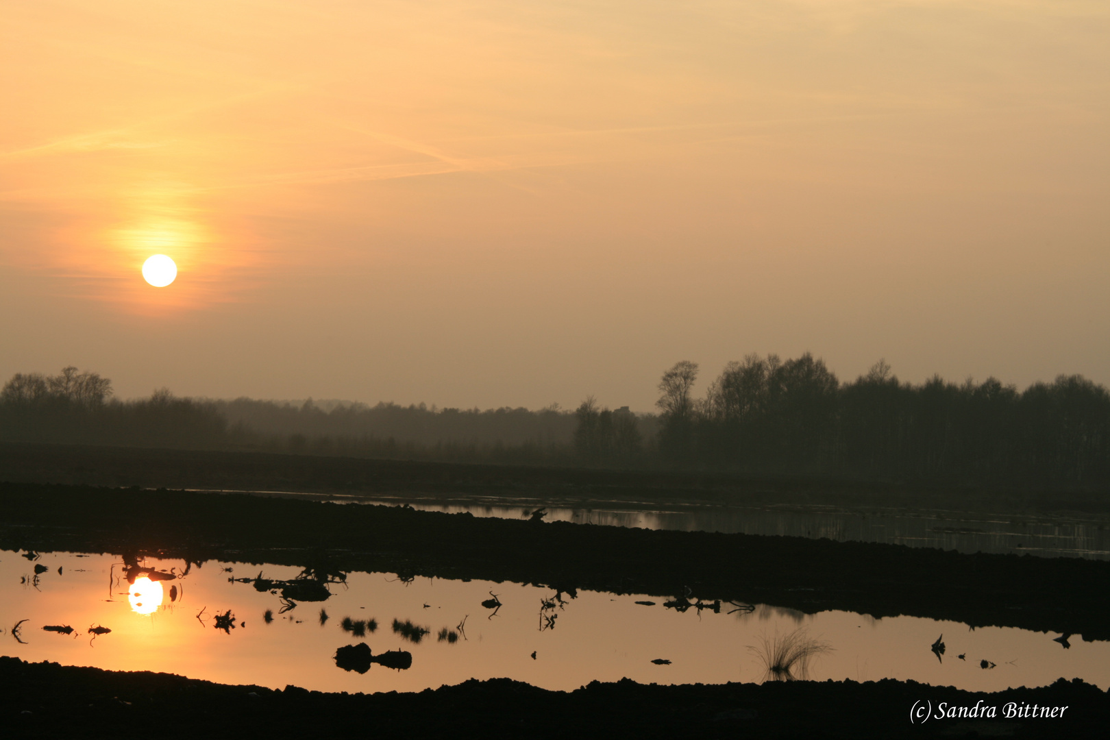 Abends im Moor