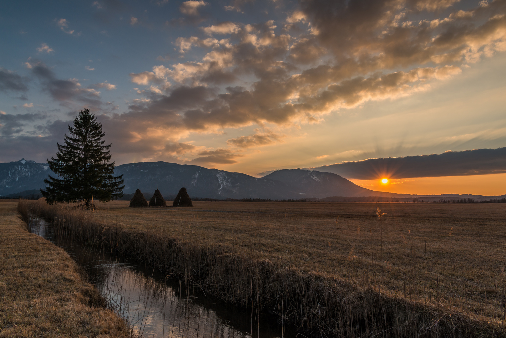 Abends im Murnauer Moos