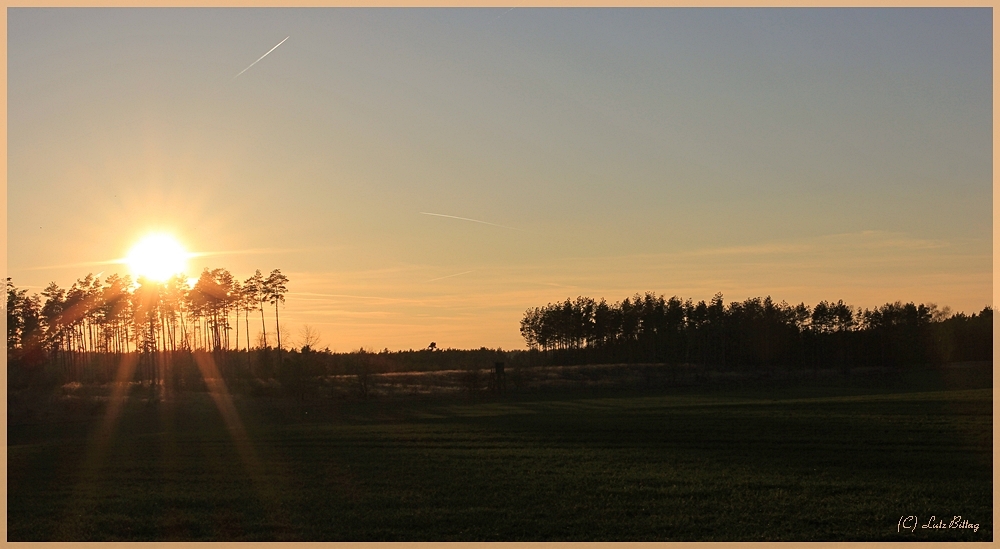 Abends im Naturpark Dübener Heide ...