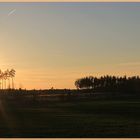 Abends im Naturpark Dübener Heide ...