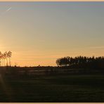 Abends im Naturpark Dübener Heide ...