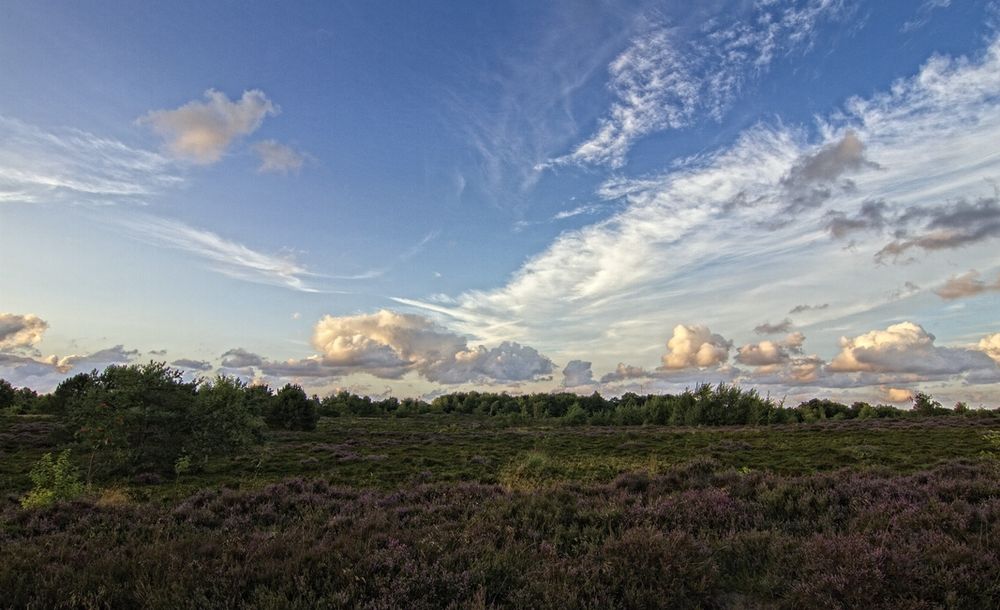 Abends im Naturschutzgebiet