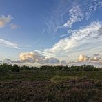 Abends im Naturschutzgebiet