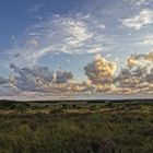 Abends im Naturschutzgebiet II