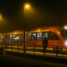 ABENDS IM NEBEL MIT VOLLMOND